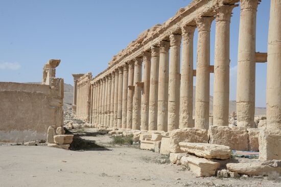 Historic site in Palmyra destroyed in military operations