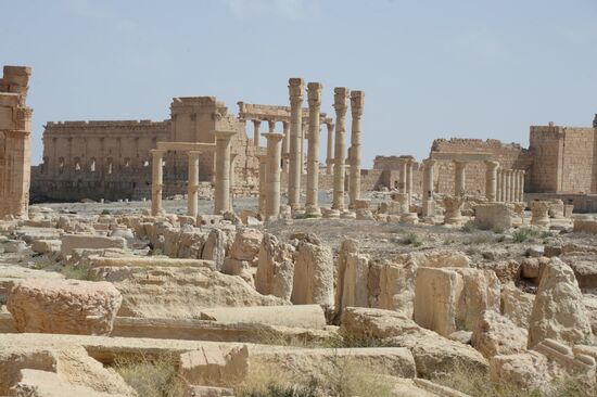 Historic site in Palmyra destroyed in military operations