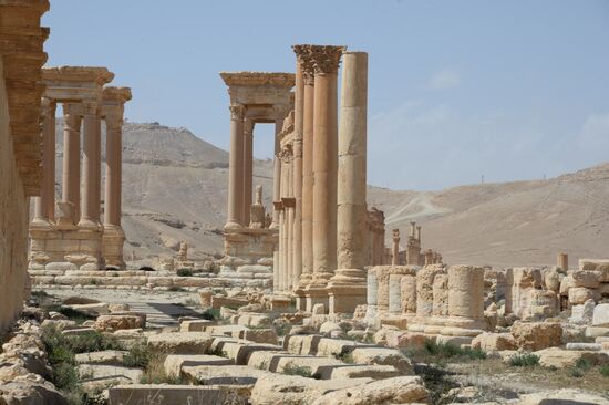 Historic site in Palmyra destroyed in military operations