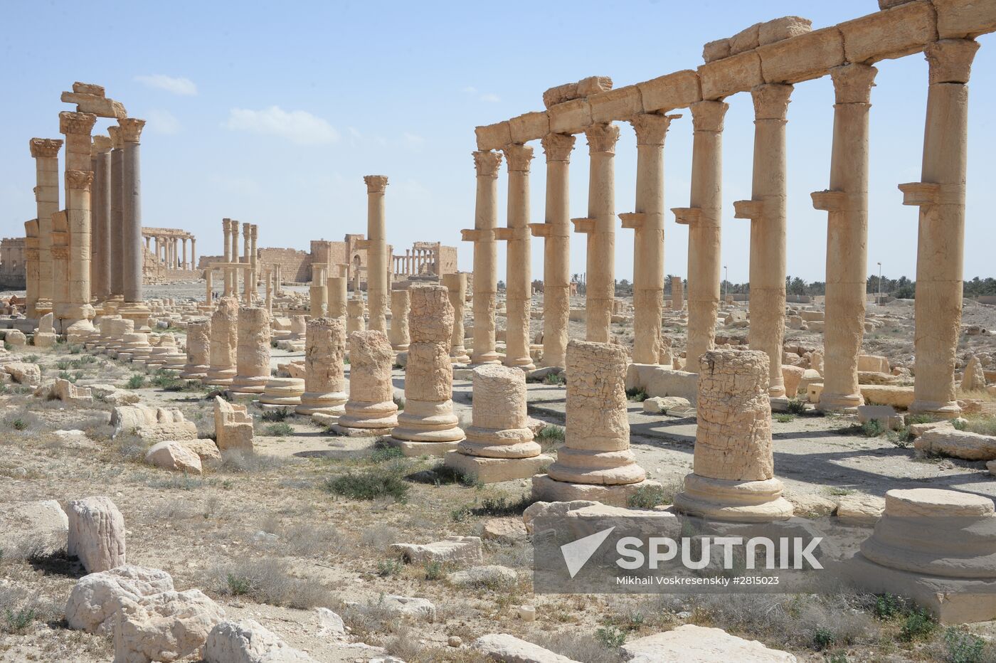 Historic site in Palmyra destroyed in military operations