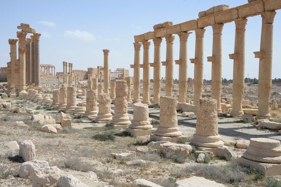 Historic site in Palmyra destroyed in military operations