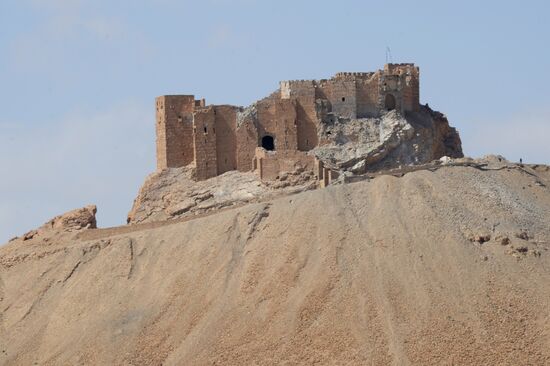 Historic site in Palmyra destroyed in military operations