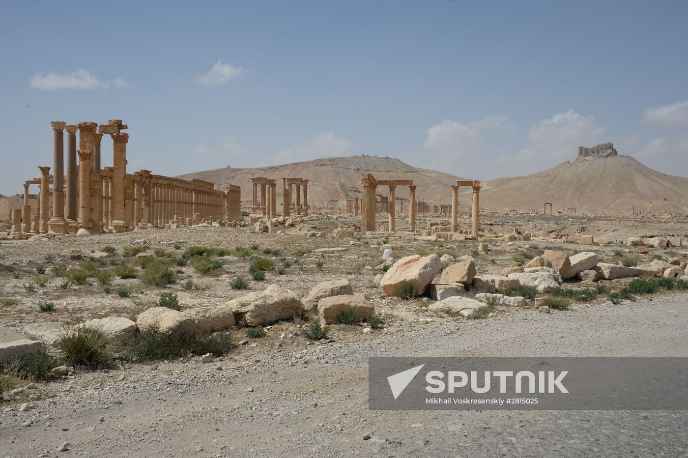 Historic site in Palmyra destroyed in military operations