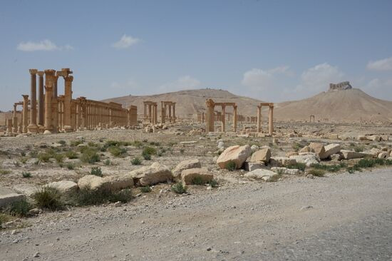 Historic site in Palmyra destroyed in military operations