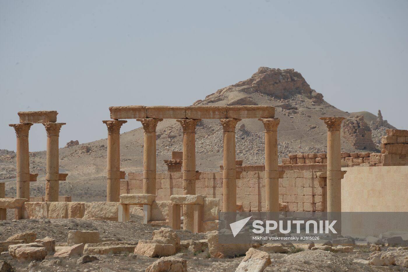 Historic site in Palmyra destroyed in military operations