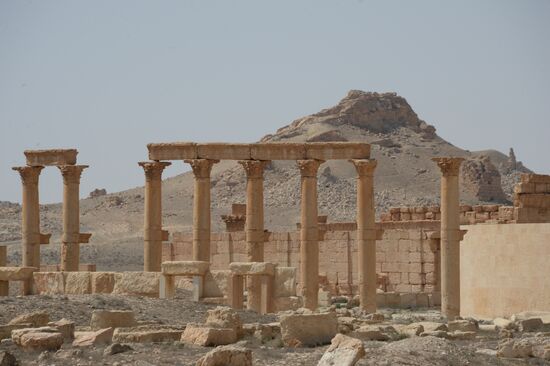 Historic site in Palmyra destroyed in military operations