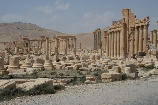 Historic site in Palmyra destroyed in military operations