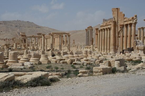 Historic site in Palmyra destroyed in military operations