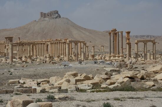 Historic site in Palmyra destroyed in military operations