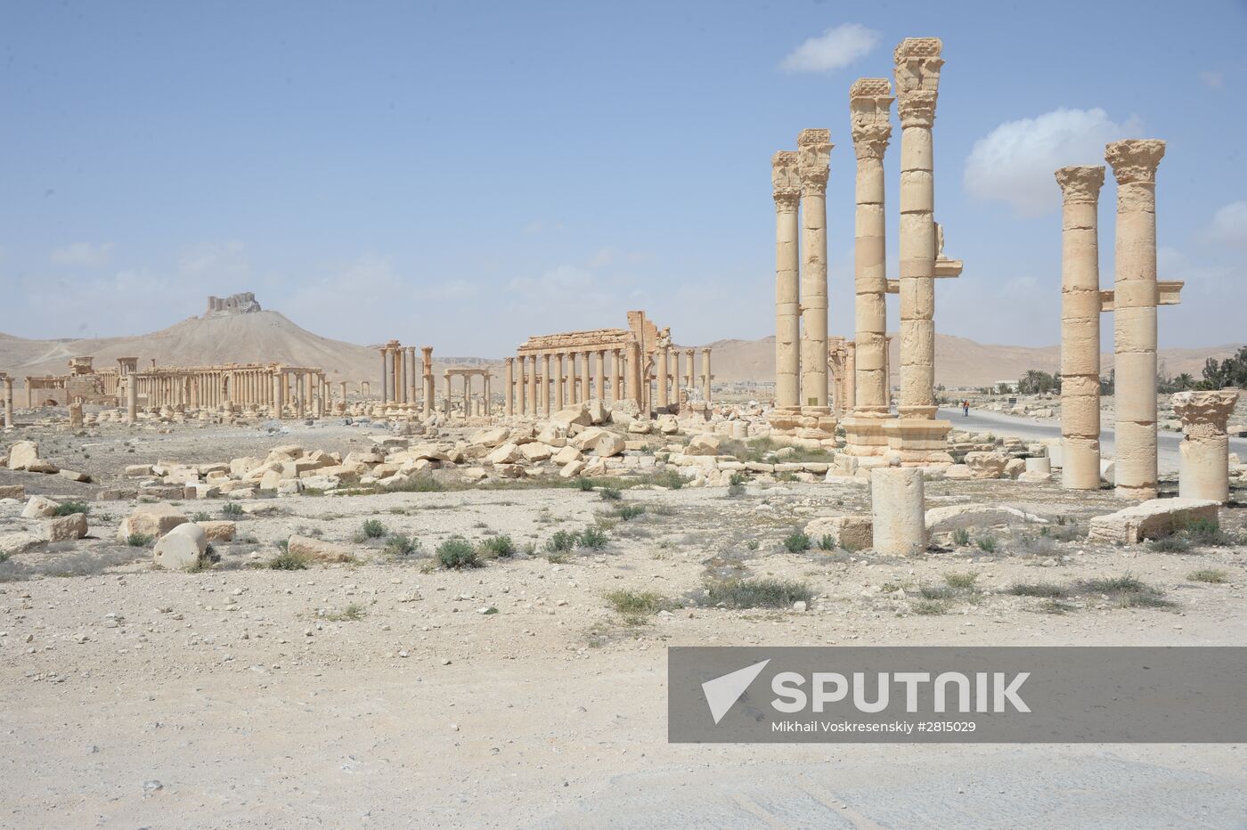 Historic site in Palmyra destroyed in military operations