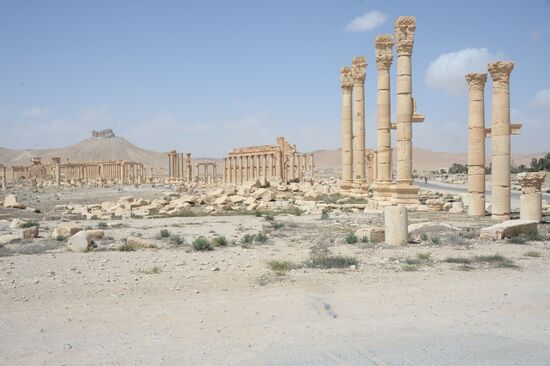 Historic site in Palmyra destroyed in military operations
