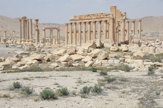 Historic site in Palmyra destroyed in military operations