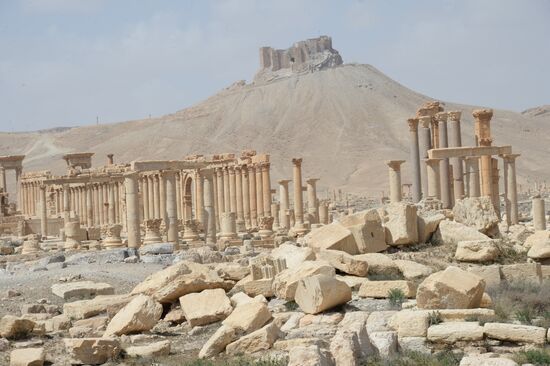 Historic site in Palmyra destroyed in military operations
