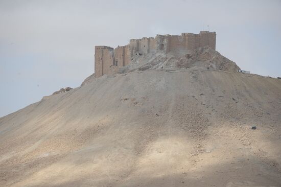 Historic site in Palmyra destroyed in military operations