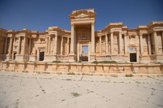 Historic site in Palmyra destroyed in military operations