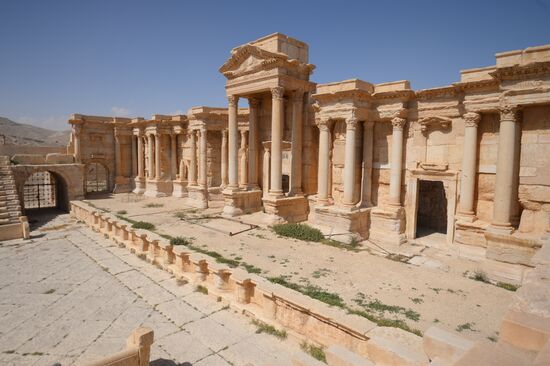 Historic site in Palmyra destroyed in military operations