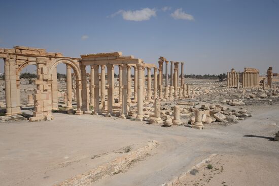 Historic site in Palmyra destroyed in military operations