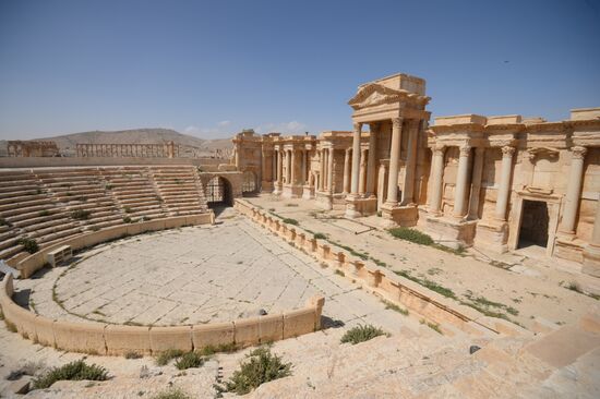 Historic site in Palmyra destroyed in military operations