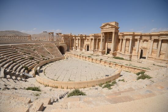 Historic site in Palmyra destroyed in military operations