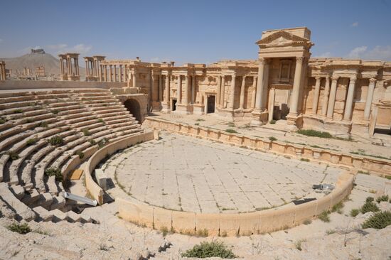 Historic site in Palmyra destroyed in military operations