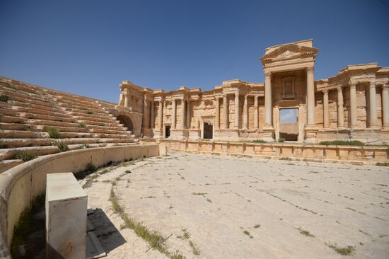 Historic site in Palmyra destroyed in military operations