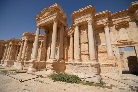 Historic site in Palmyra destroyed in military operations