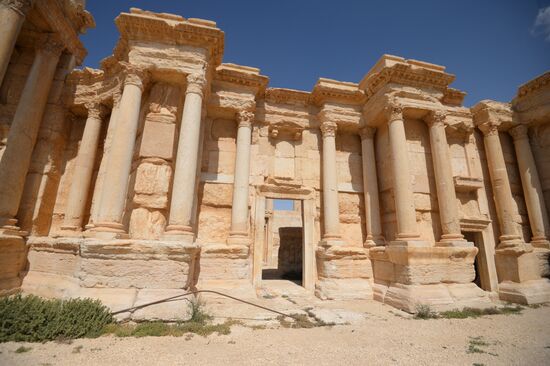 Historic site in Palmyra destroyed in military operations