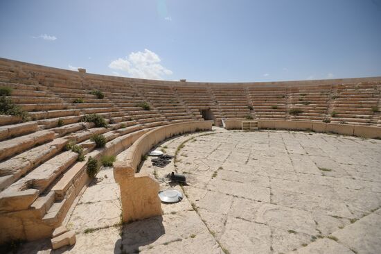 Historic site in Palmyra destroyed in military operations