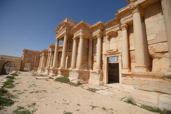 Historic site in Palmyra destroyed in military operations