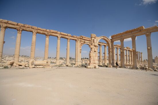 Historic site in Palmyra destroyed in military operations