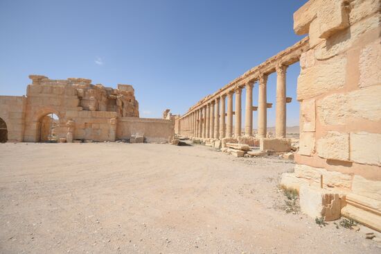 Historic site in Palmyra destroyed in military operations
