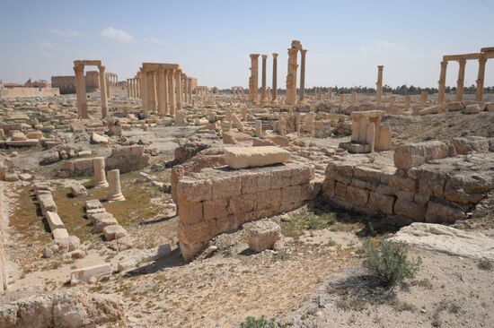 Historic site in Palmyra destroyed in military operations