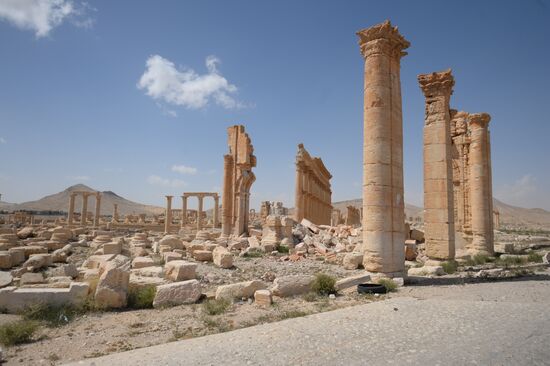 Historic site in Palmyra destroyed in military operations