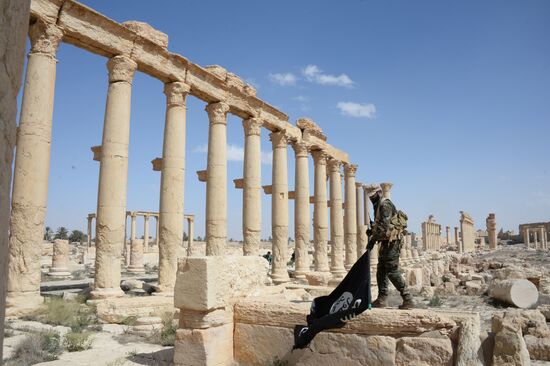 Historic site in Palmyra destroyed in military operations