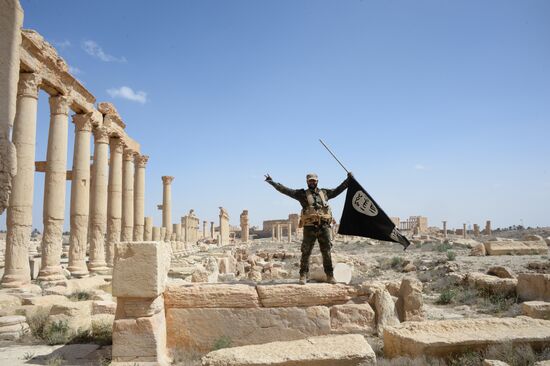 Historic site in Palmyra destroyed in military operations