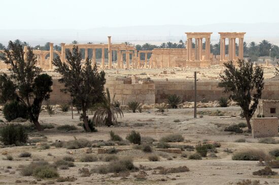 Historical part of Palmyra damaged during military operations