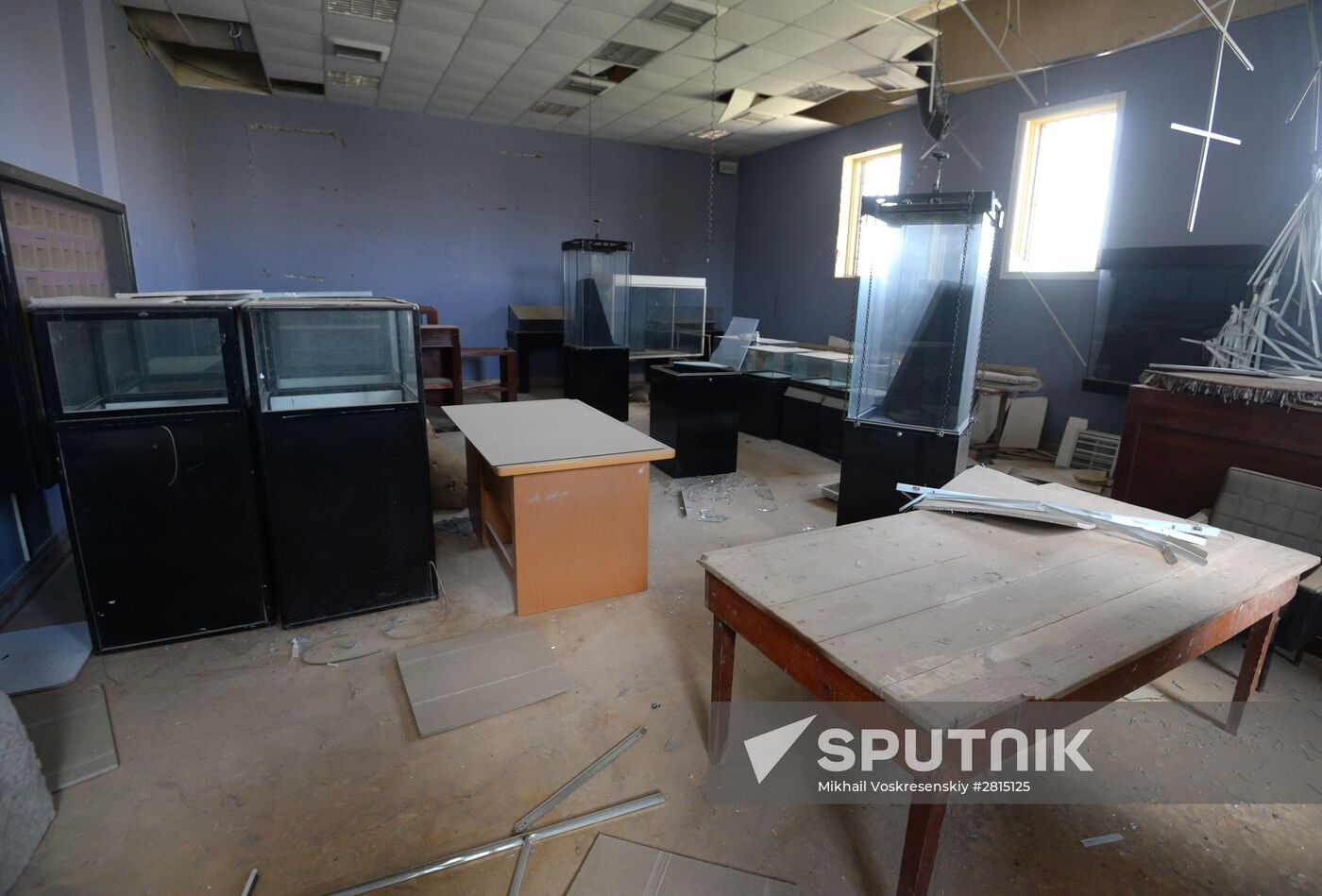 Museums in liberated Palmyra