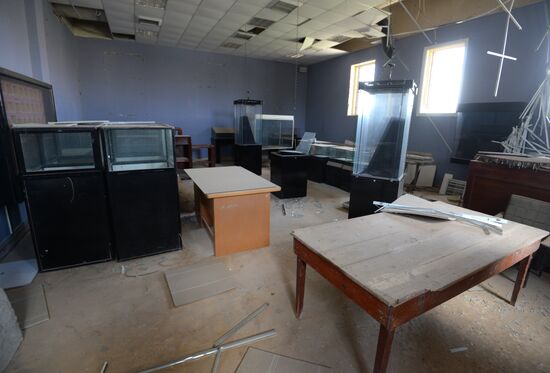 Museums in liberated Palmyra