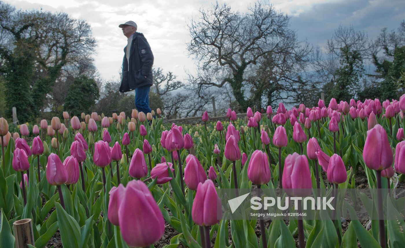 Nikitsky Botanical Gardens