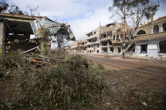 Palmyra update