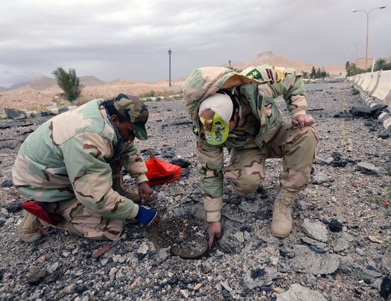 Palmyra situation update