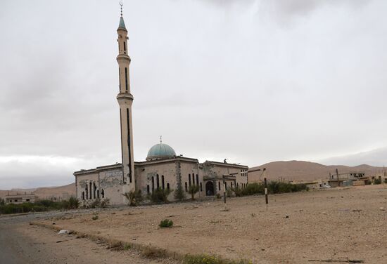 Palmyra situation update