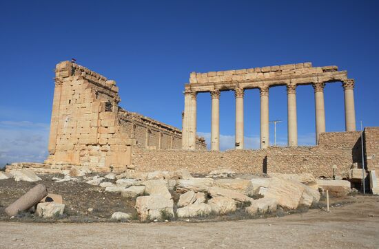 Ancient Palmyra