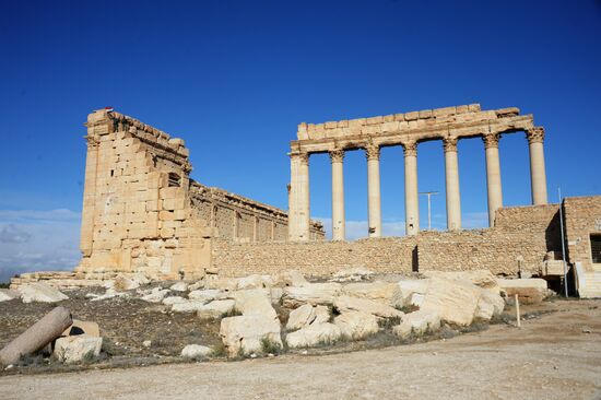 Ancient Palmyra