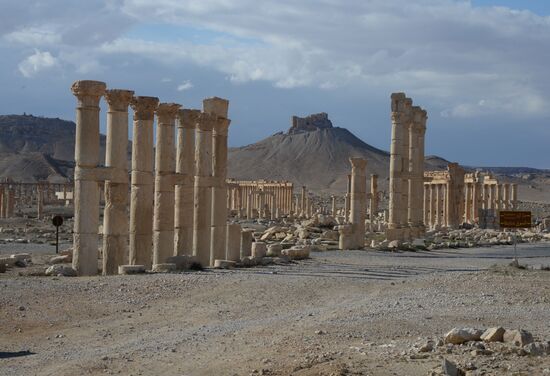 Ancient Palmyra