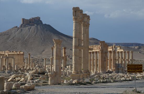 Ancient Palmyra