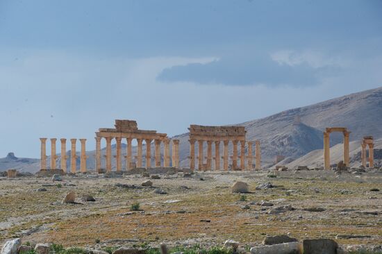 Ancient Palmyra
