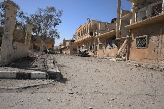 Palmyra update