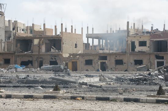 Palmyra update