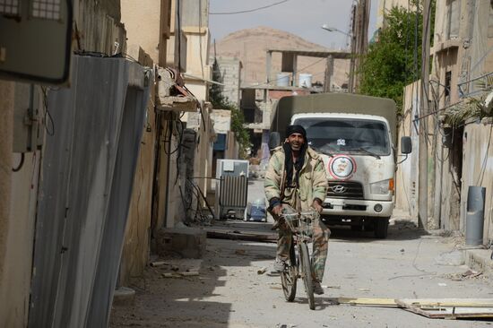 Palmyra update